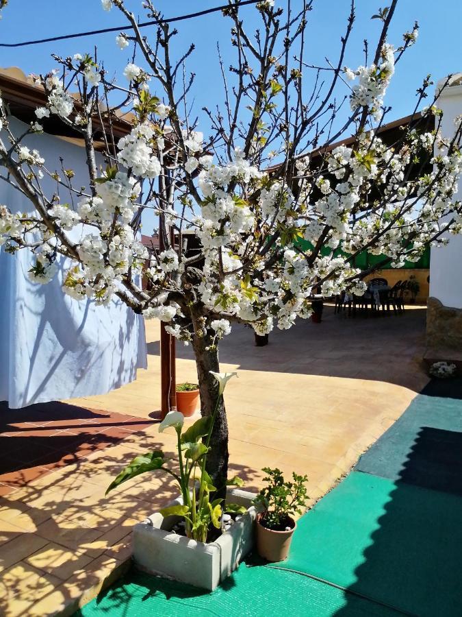 Conjunto Rural Andrea Guest House Moriles Екстериор снимка